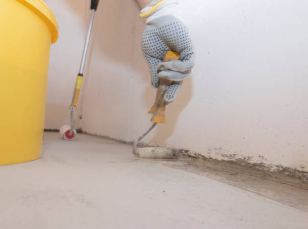 Best Fumigation Services  in Fairbury, IL